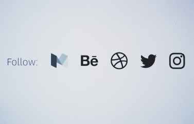 app bird close up connection