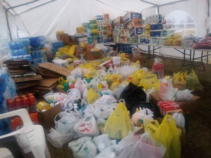 55929341_279449122984835_7689675894473883648_n